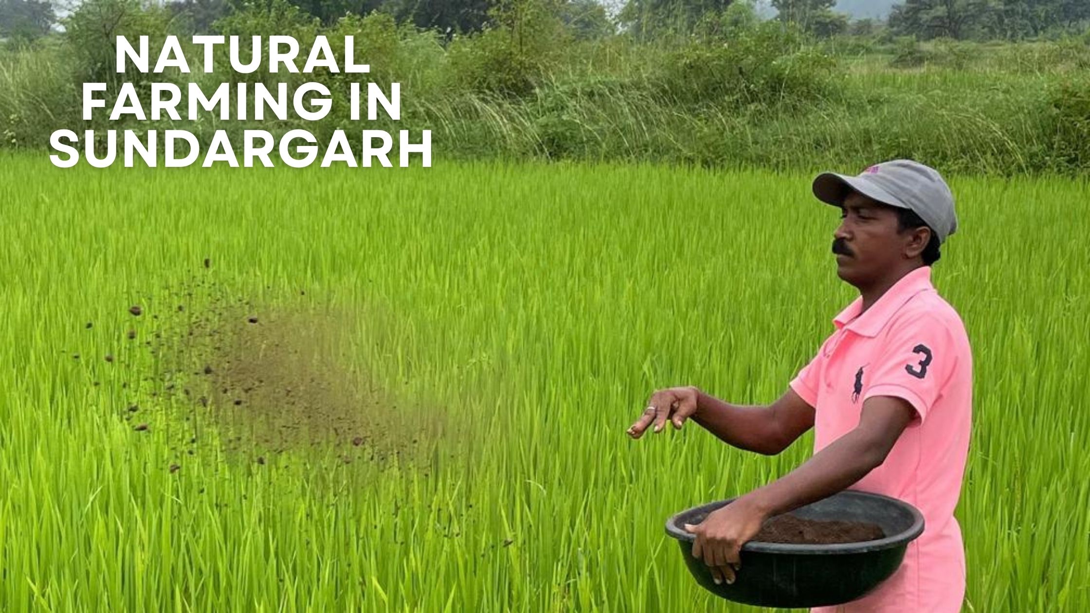 Natural Farming in Sundargarh