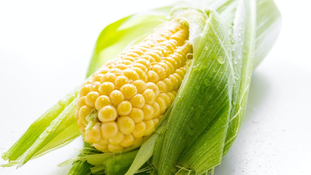 Sweet Corn